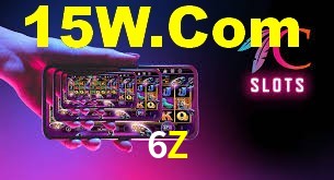 Programa VIP 6Z